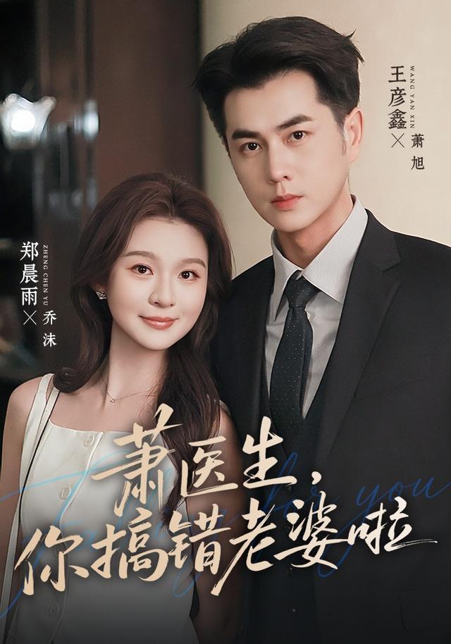 萧医生，你搞错老婆啦海报